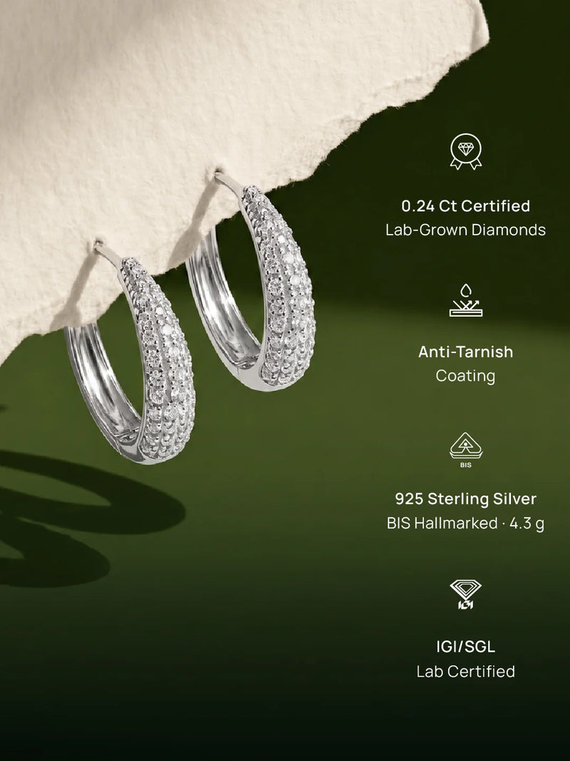 Classic Round Hoop Earrings