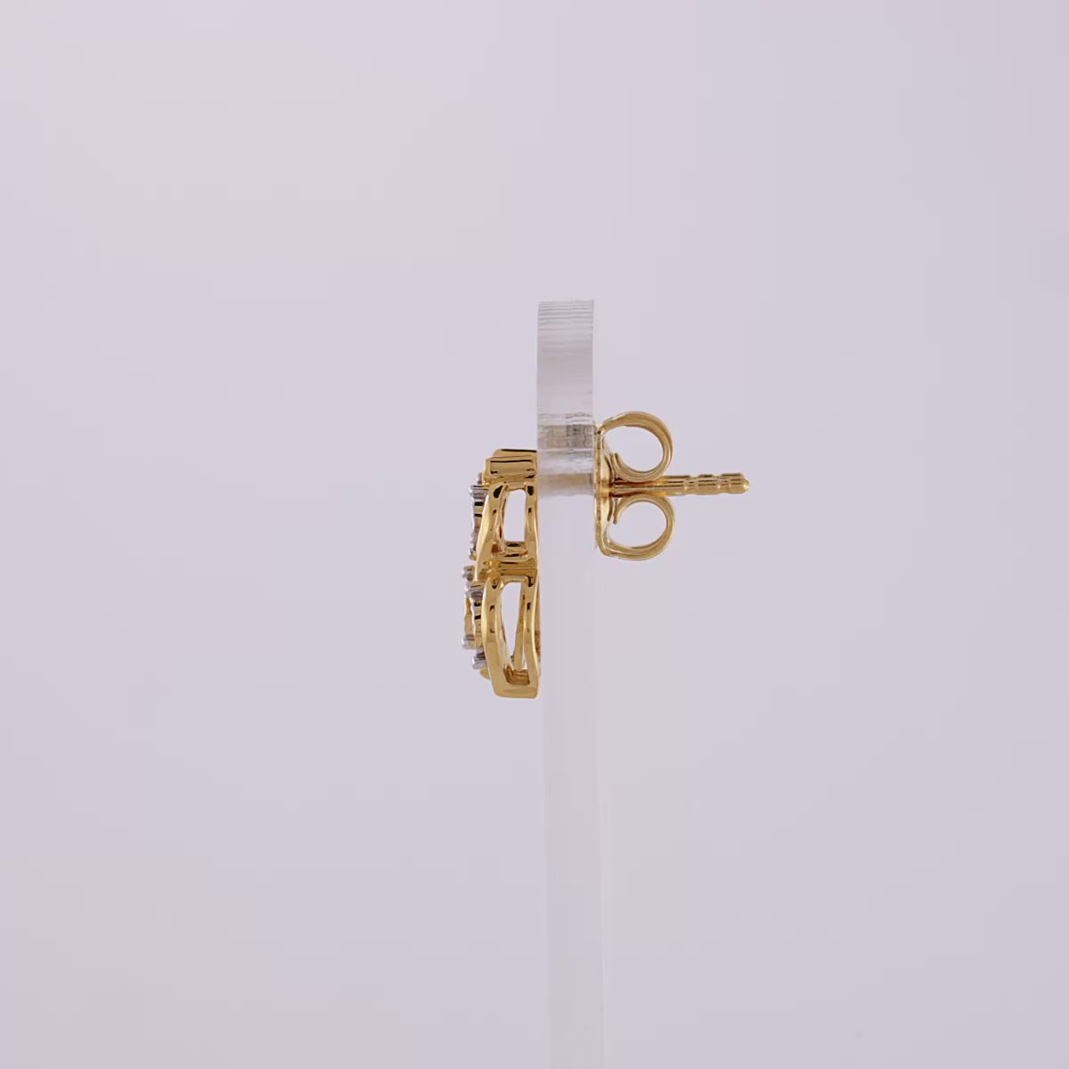 Ladies earring
